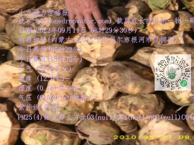 0.mp4