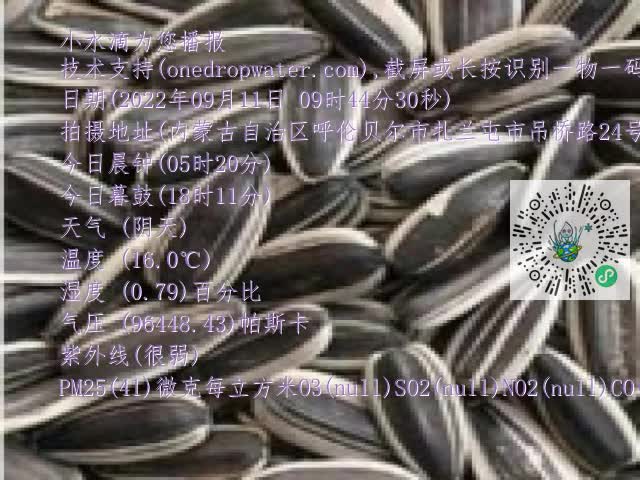 0.mp4