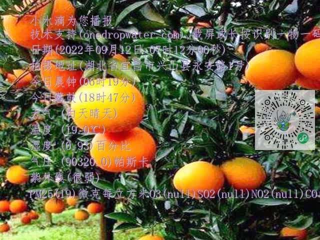 9f27c15a54c36c088ceecf758502d516.mp4