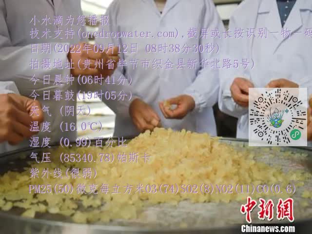 0.mp4