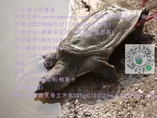 0.mp4