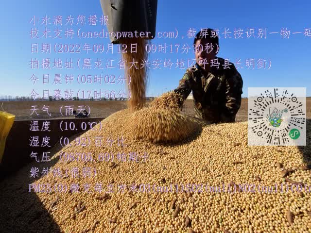 0.mp4
