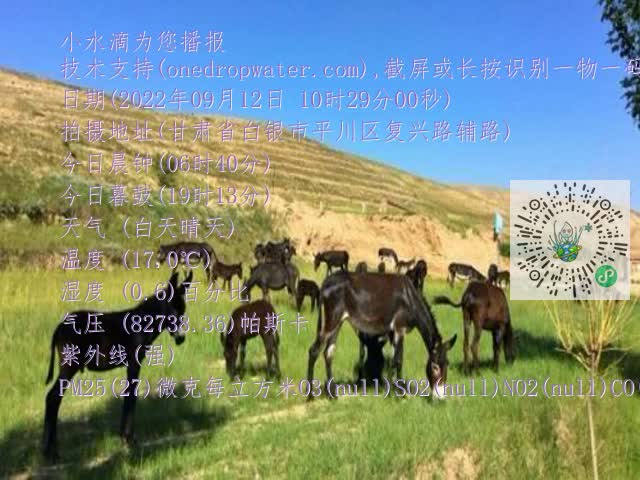 0.mp4