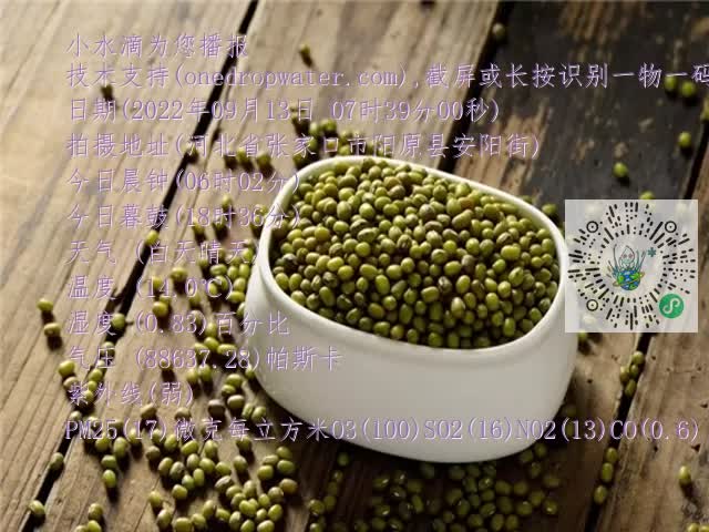 0.mp4