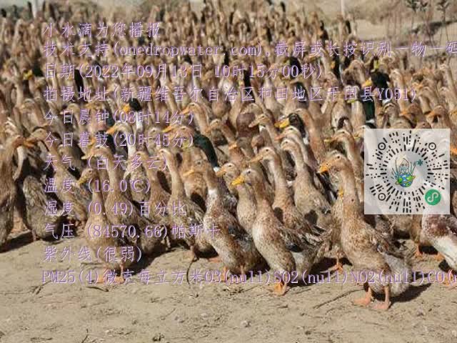 0.mp4
