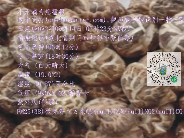 0.mp4