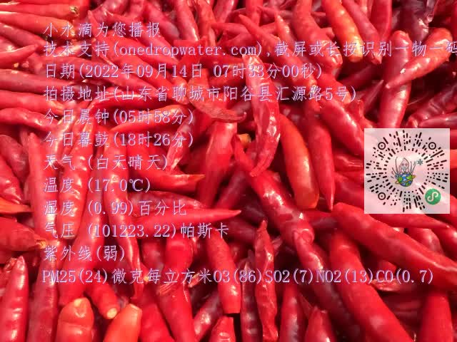 0.mp4
