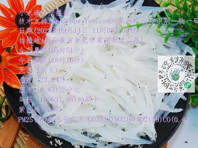 0.mp4