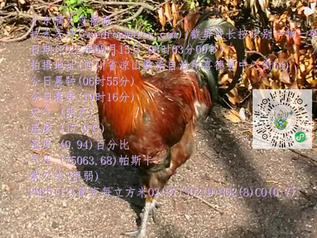 0.mp4