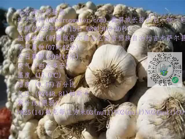 0.mp4