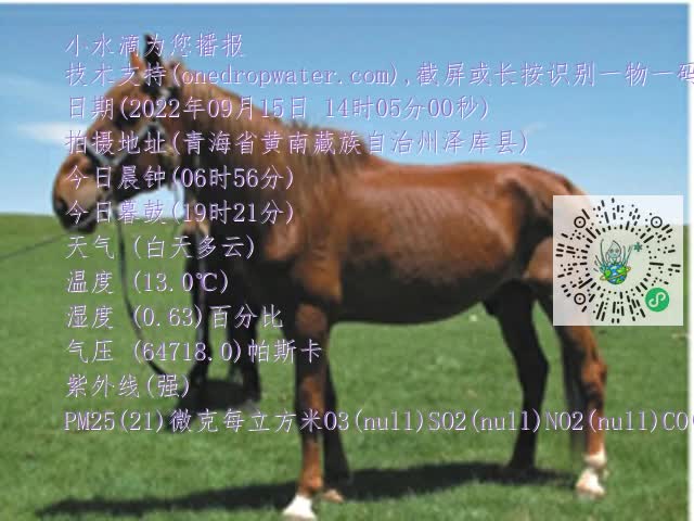 0.mp4