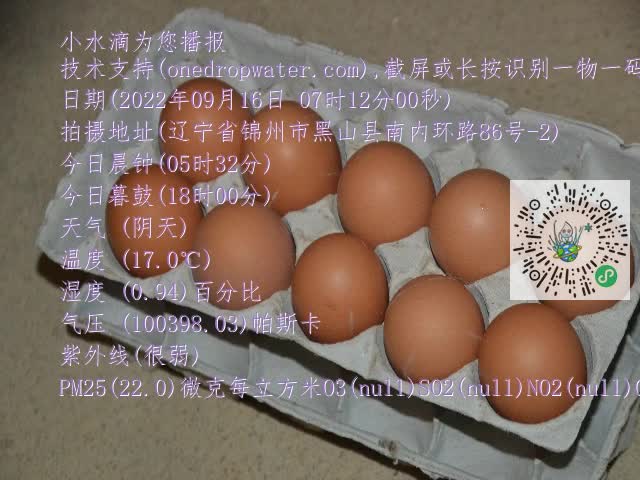 0.mp4