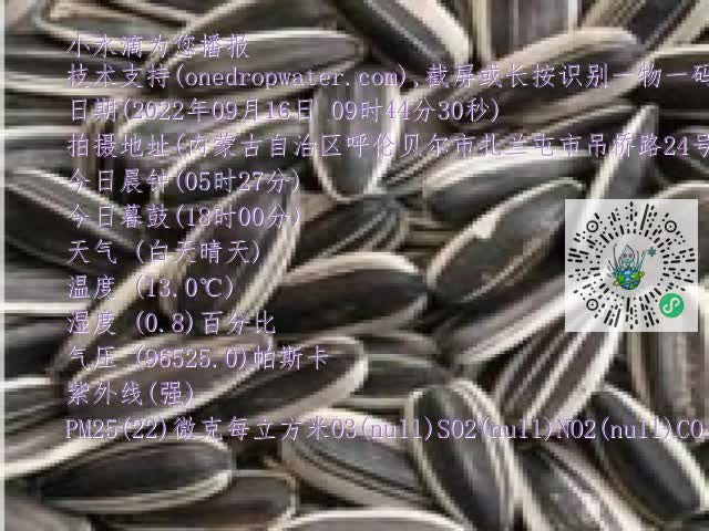 0.mp4