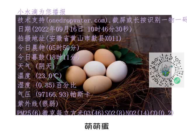 132b7dc3e65df8fe6cae9da93c0655d9.mp4