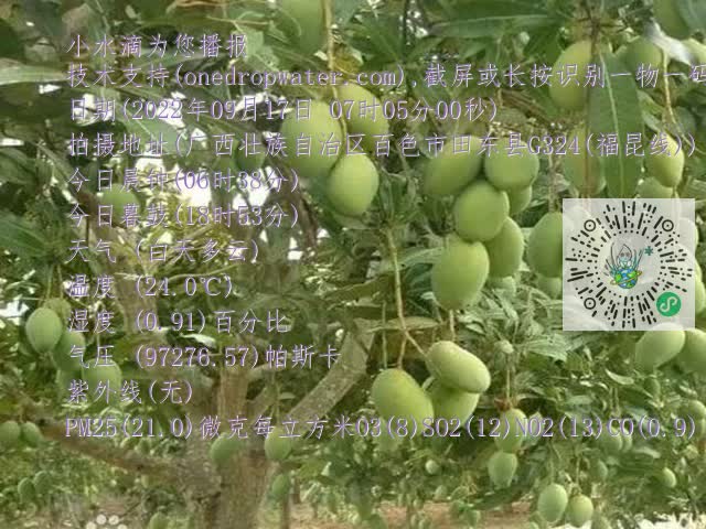 8ef11e115cff7ad3080e45ead4504c5b.mp4