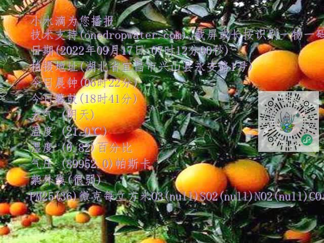 9f27c15a54c36c088ceecf758502d516.mp4