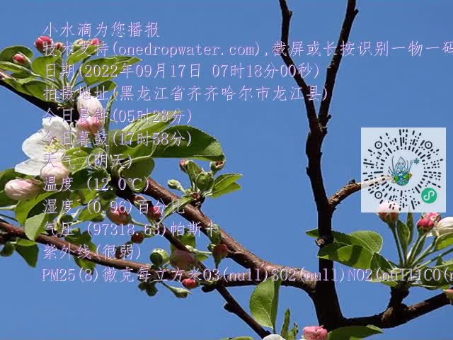d77827fd2f4aa417a715d1dc90323eb3.mp4