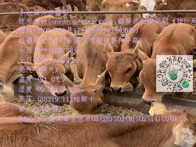 0.mp4