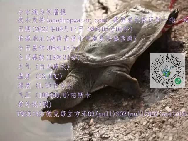 0.mp4