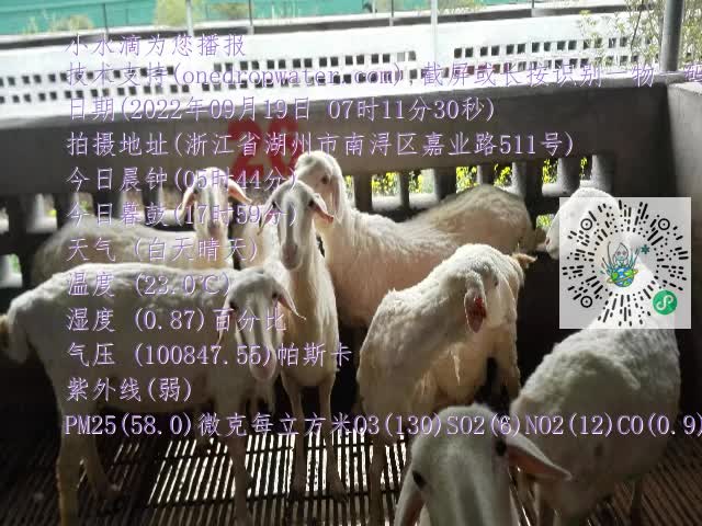 0.mp4