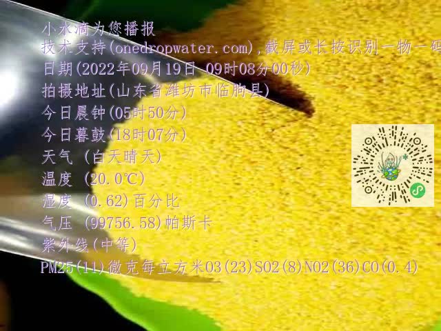 0.mp4