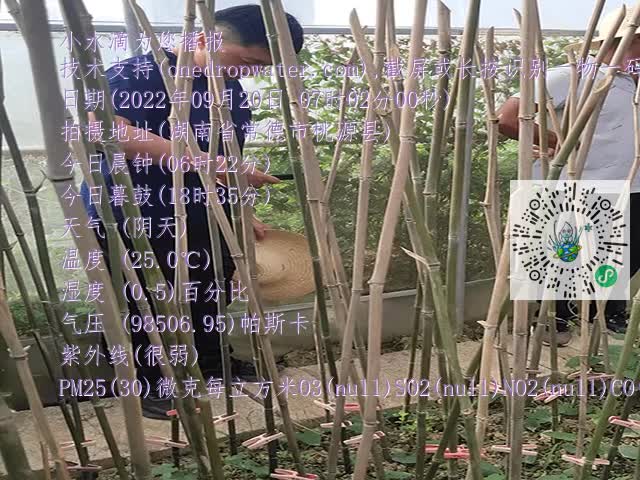 1ca5315187c7915aedcb62a0d18b756b.mp4