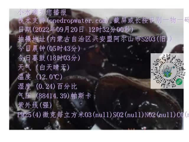 0.mp4