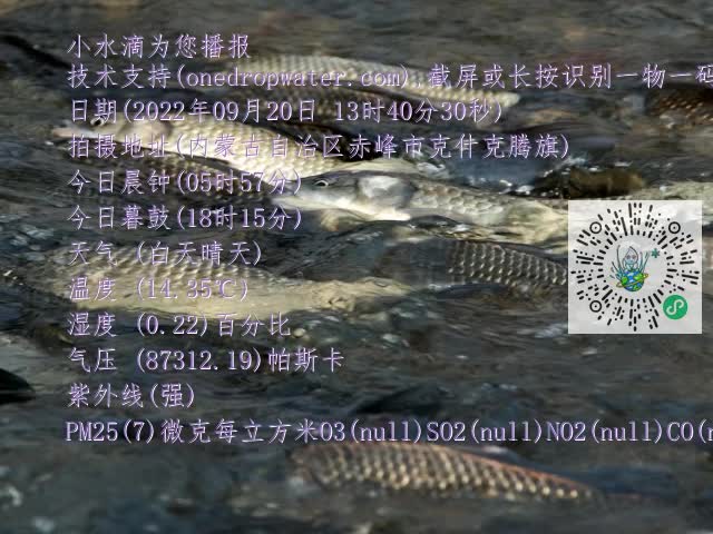 0.mp4