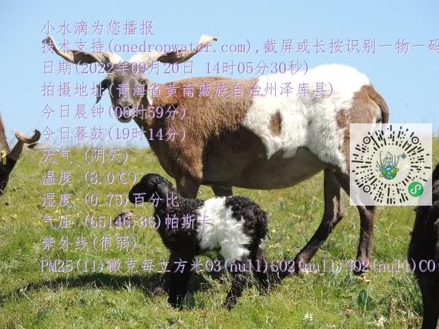 0.mp4