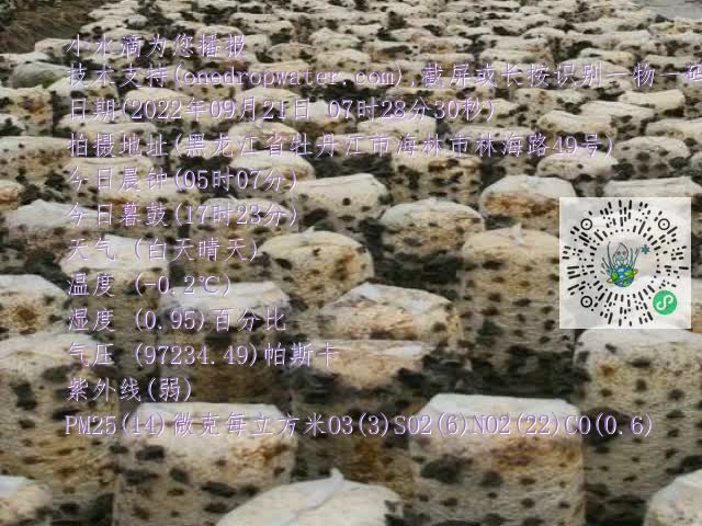 0.mp4