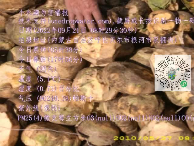 0.mp4