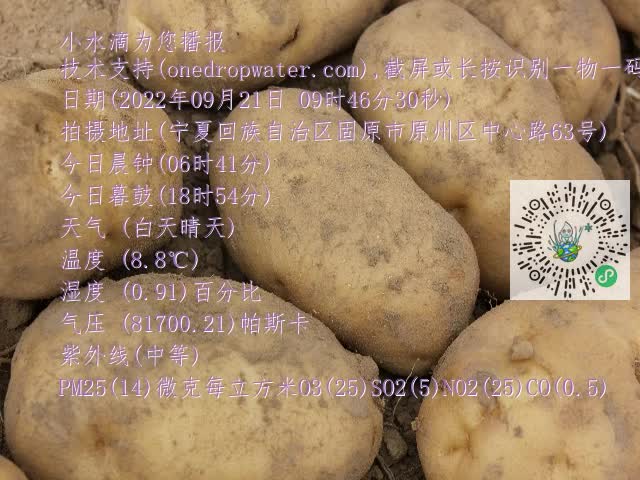 0.mp4