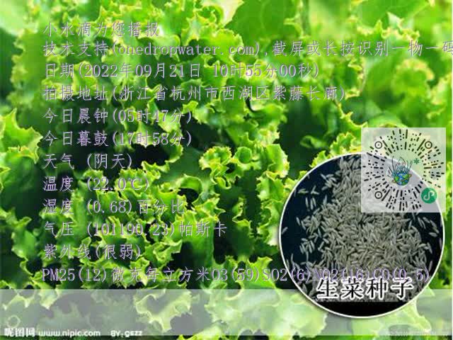 8bf87a48d095cf7944be3ea9e09ea14d.mp4