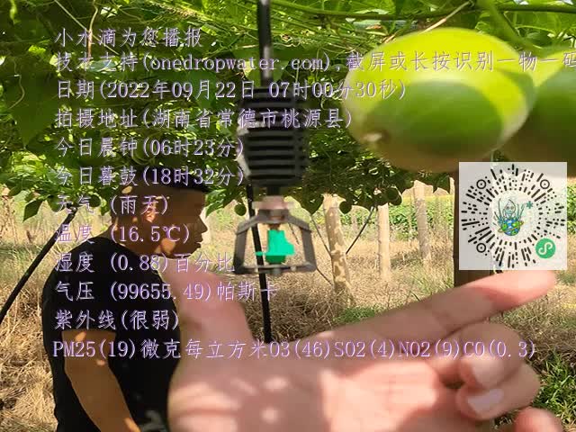 09a7db86497f5b2fde7f575a34e1a081.mp4