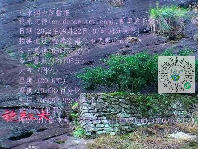 562dcbd6552486cfabb7187983c1d0e5.mp4