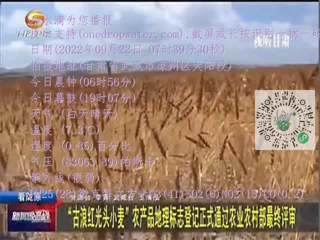 0.mp4