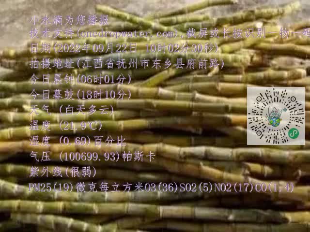 0.mp4
