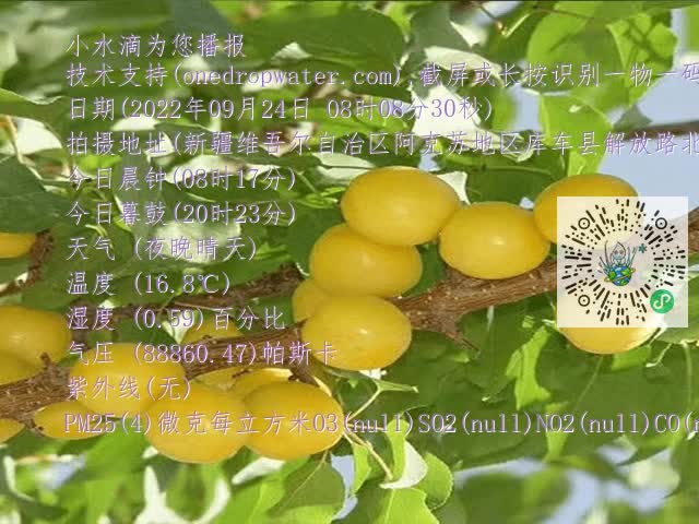 67804975fc4d755441263197e25d19dd.mp4