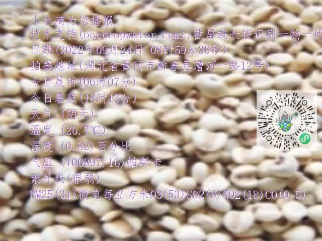 0.mp4