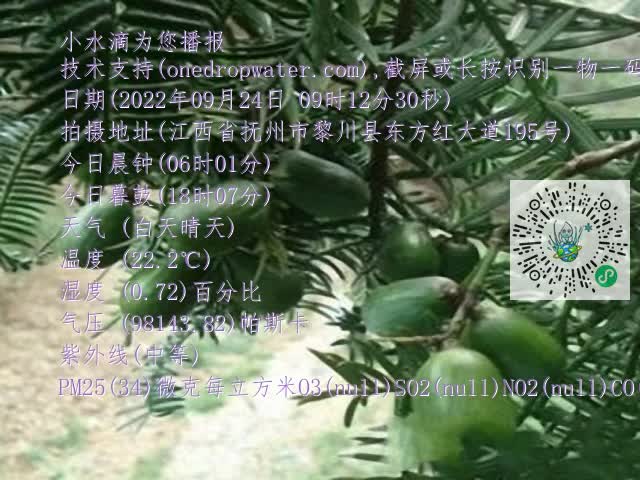 0.mp4