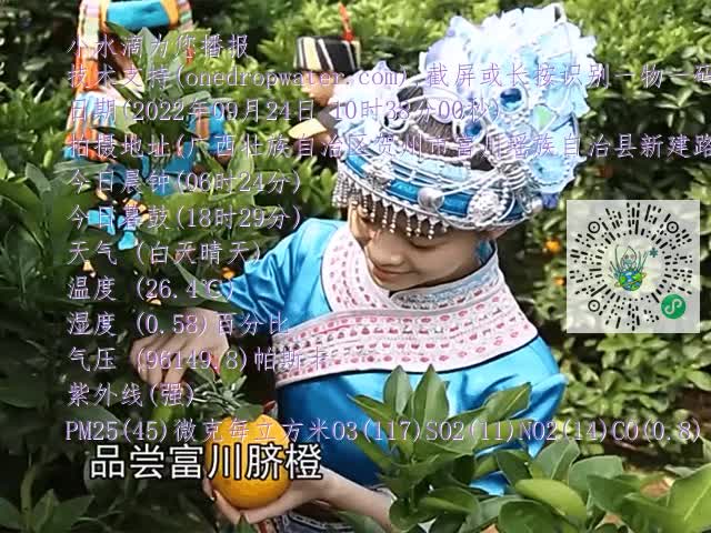 dd8090a4e4d4c7718ed15ab6692d8051.mp4