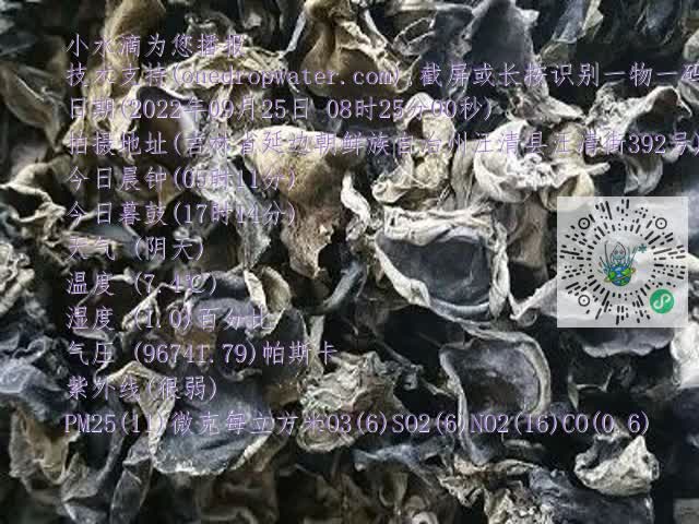 0.mp4
