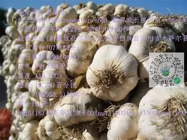 0.mp4