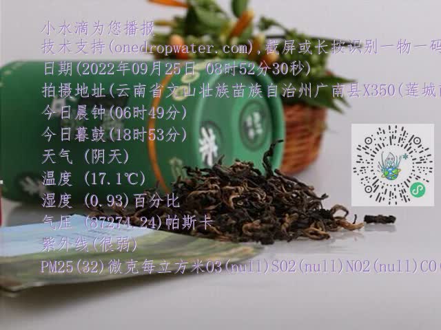 0.mp4