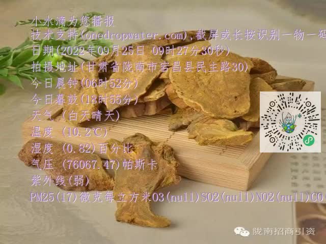 0.mp4