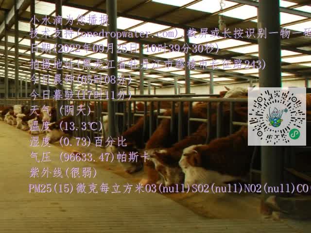 0.mp4