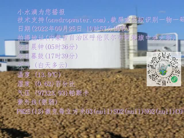 0.mp4