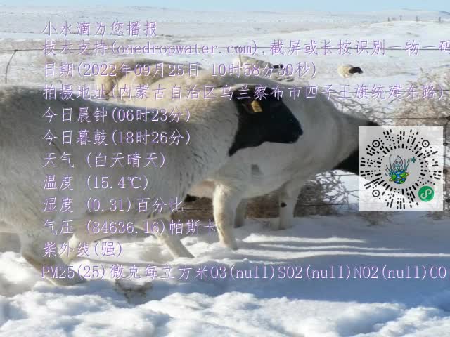 0.mp4