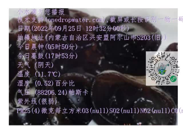 0.mp4