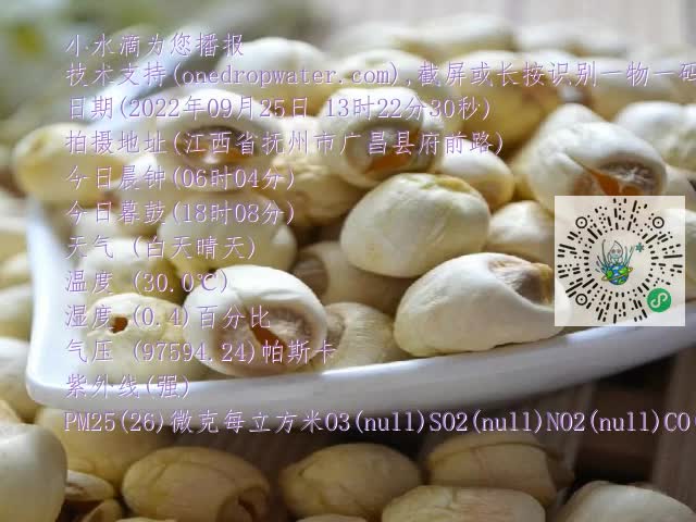 0.mp4